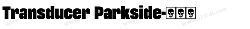 Transducer Parkside字体转换
